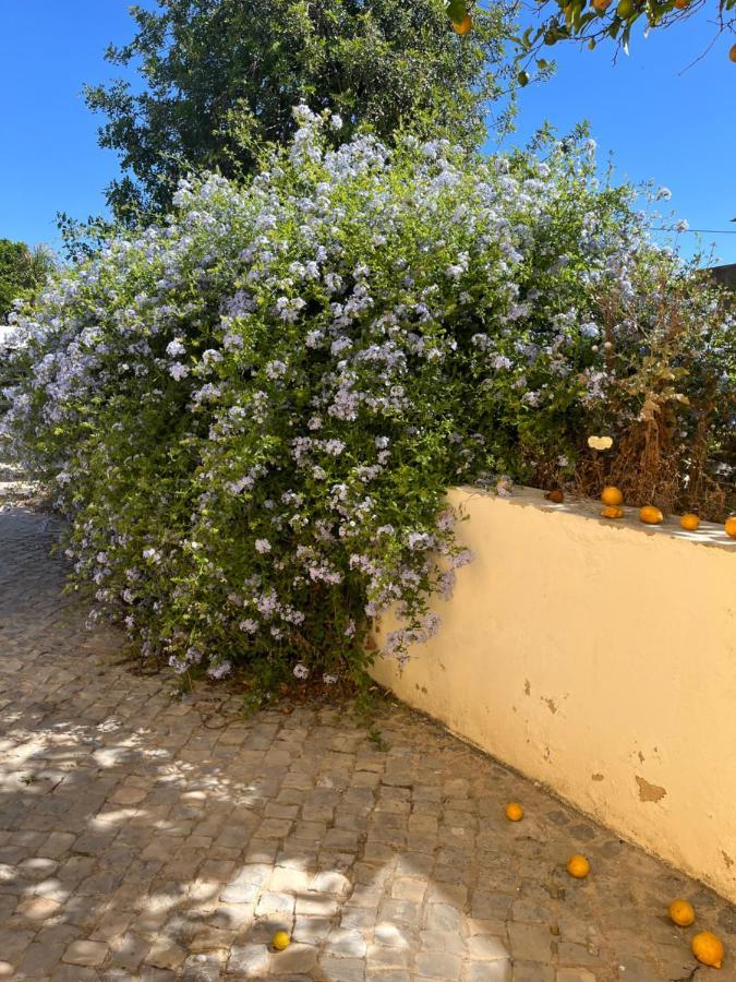 Quinta Da Layla Villa Olhão Buitenkant foto
