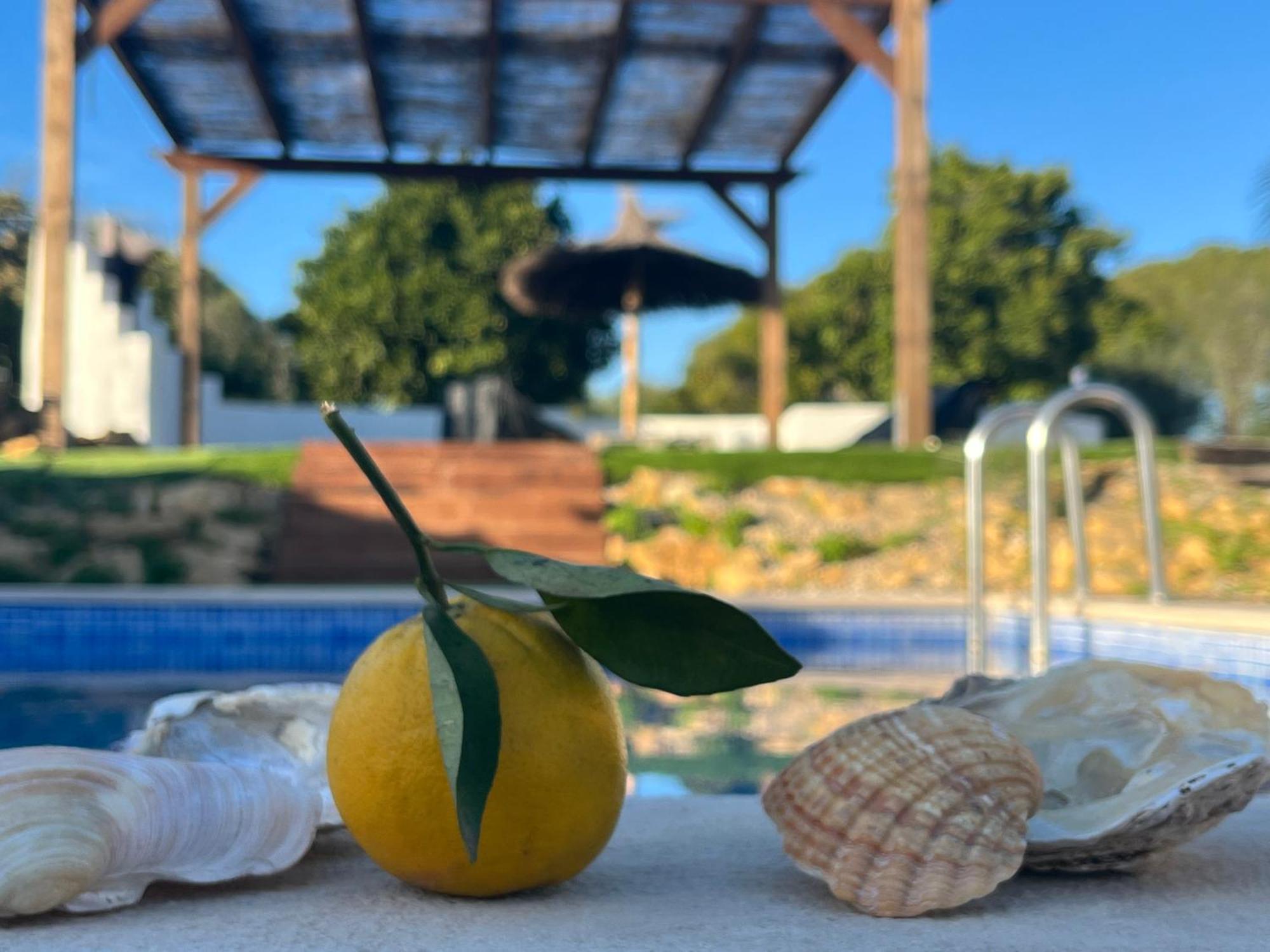 Quinta Da Layla Villa Olhão Buitenkant foto